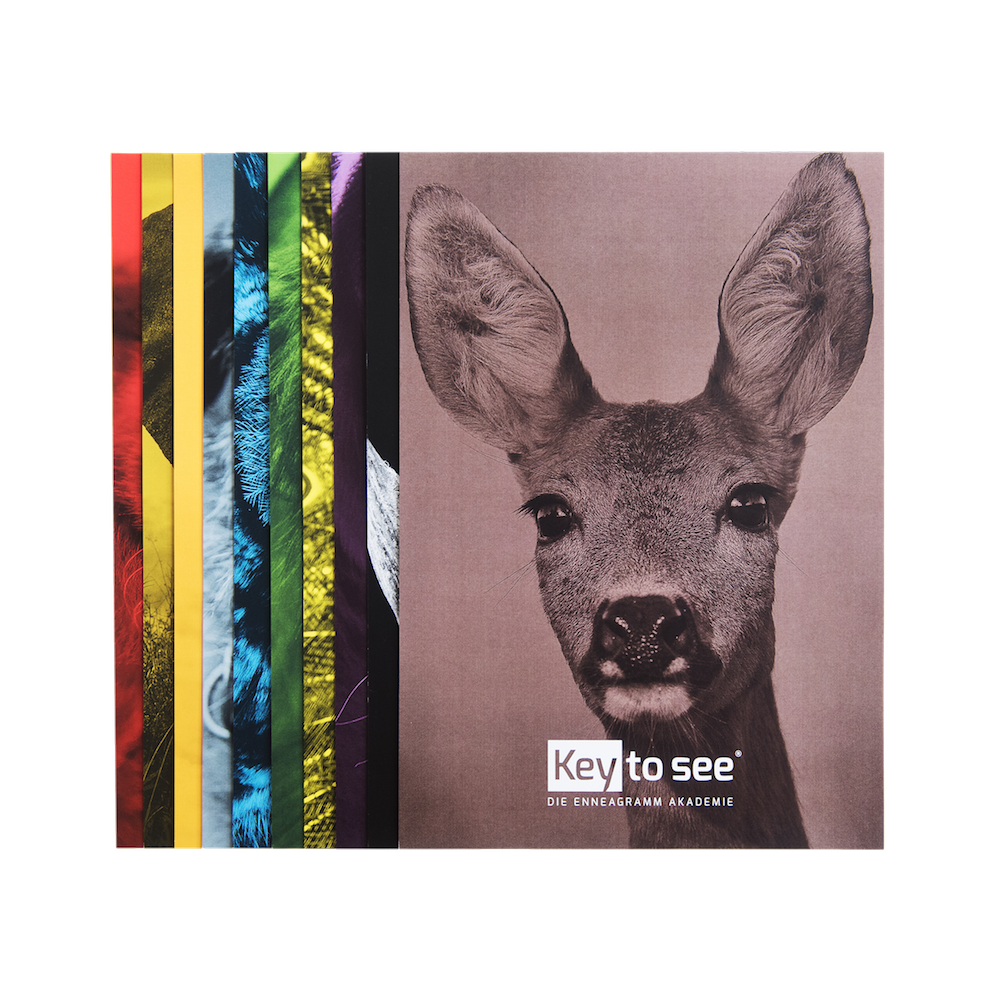 Set: Postkarten Tiere